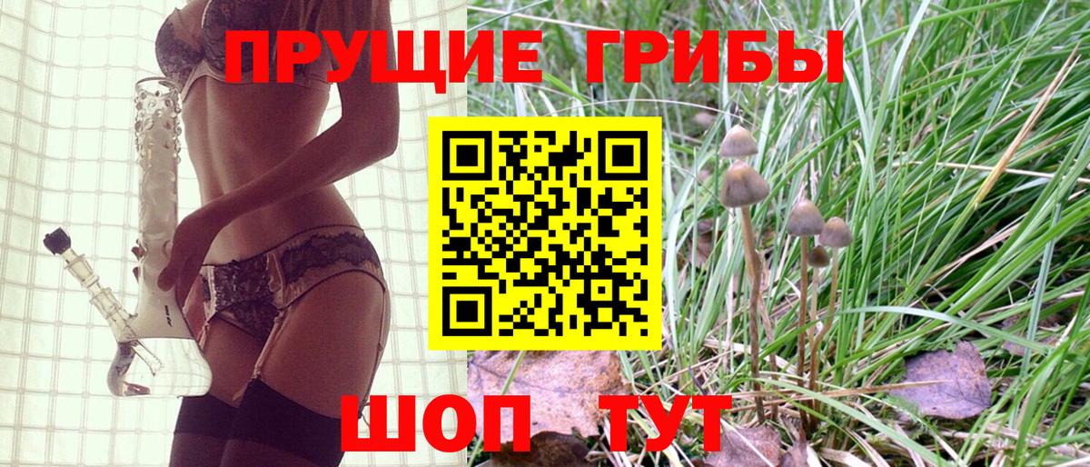 Коломна  Псилоцибиновые грибы прущие грибы  Вход с VPN  Галлюциногенные грибы ЛСД 